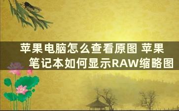 苹果电脑怎么查看原图 苹果笔记本如何显示RAW缩略图